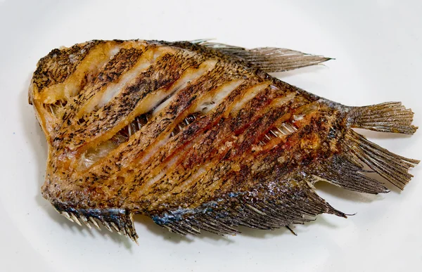 Stock image The Fried salid fish of species of fish in thailand