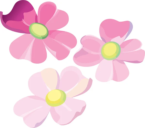 Ensemble de trois fleurs violettes — Image vectorielle