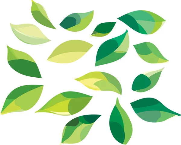 Set of green leaves Royalty Free Stock Vectors