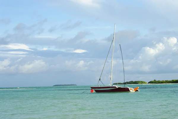 stock image Sailboat in Bay