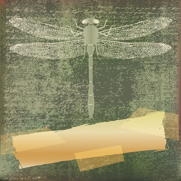 Fondo de libélula — Archivo Imágenes Vectoriales