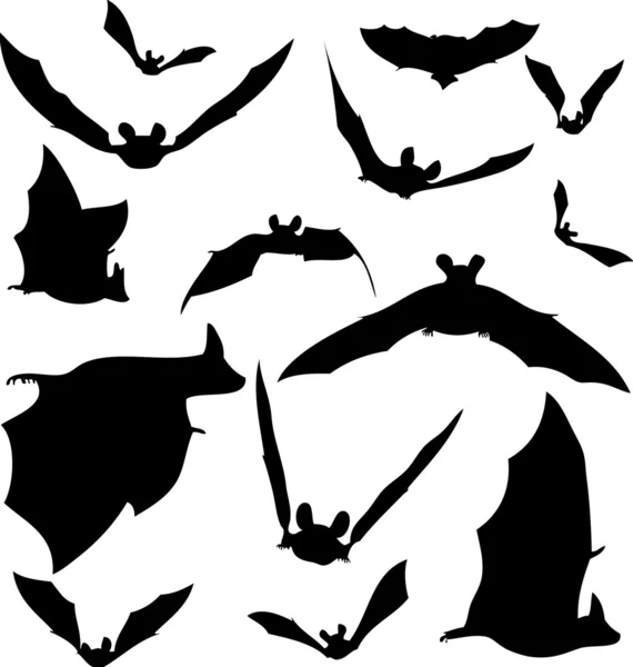 Bat silhuetter — Stock vektor