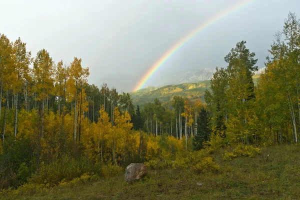 Rainbow Above Fall Aspen Forest Landscape — Stock Photo, Image
