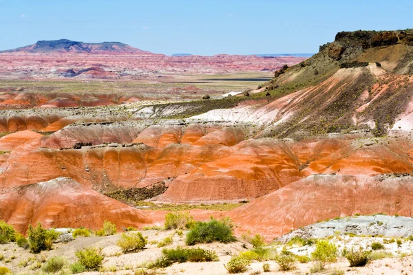 Painted desert krajobraz — Zdjęcie stockowe
