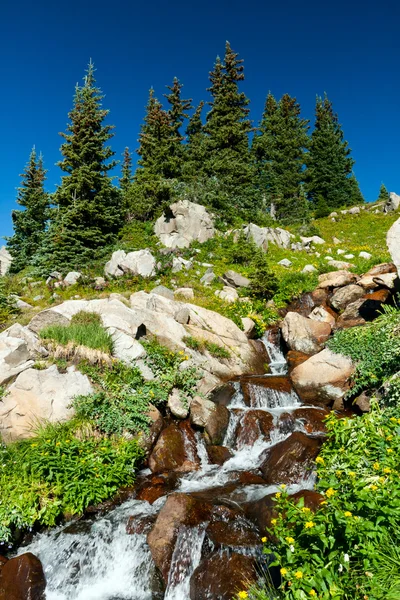Vattenfall och vildblommor landskap — Stockfoto