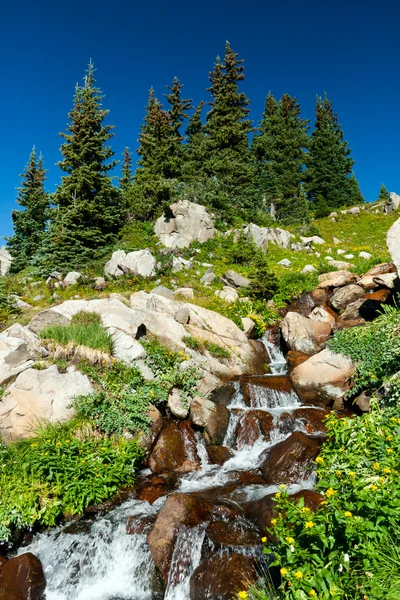 Cascata e Fiori di campo Paesaggio — Foto Stock