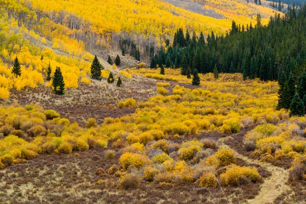 Colorado Fall Mountain Landscape — Stock Photo, Image