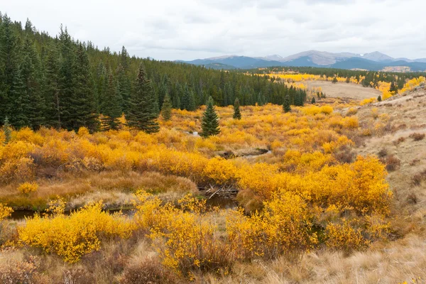 Falla bergslandskap i colorado — Stockfoto