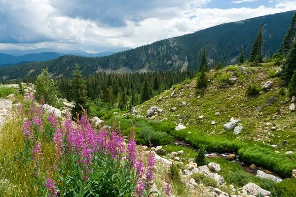 Colorado Mountain Landscape — Stock Photo, Image