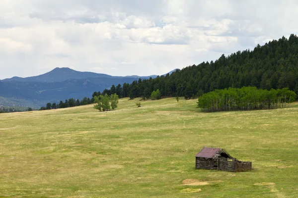 stock image Old Log Cabin in a Mountain Meadow