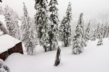 Mountain Cabin During a Winter Blizzard clipart