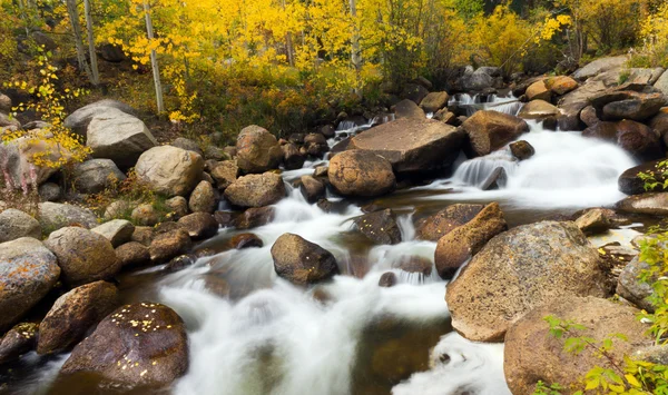Colorado rocky mountain stream i höst — Stockfoto