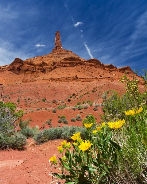Southwest Canyon Landscape Outside Moab Utah USA — Stock Photo, Image