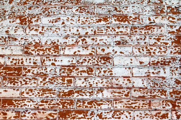 グランジ覆われたレンガ壁の背景テクスチャ — ストック写真