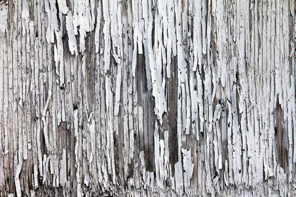 Пилинг текстуры краски на старом громоздком дереве — стоковое фото