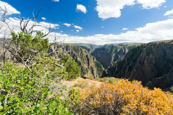 Černý kaňon gunnison krajiny — Stock fotografie