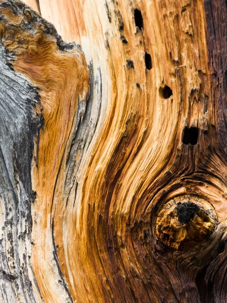 Wood Pattern Texture — Stock Photo, Image
