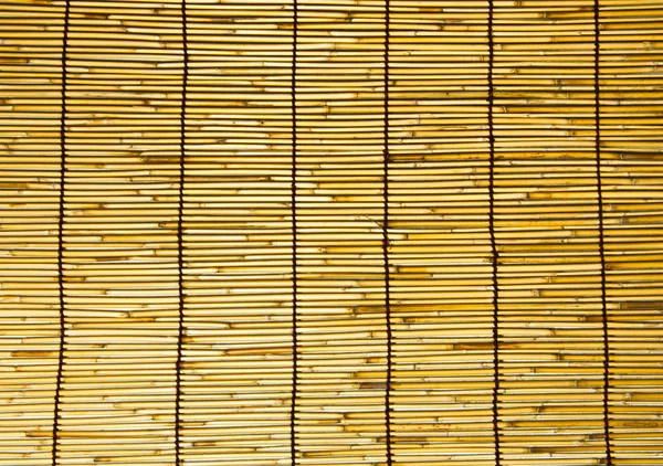Parete di bambù . — Foto Stock