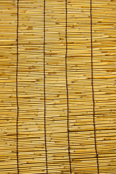 Bambus stěna. — Stock fotografie