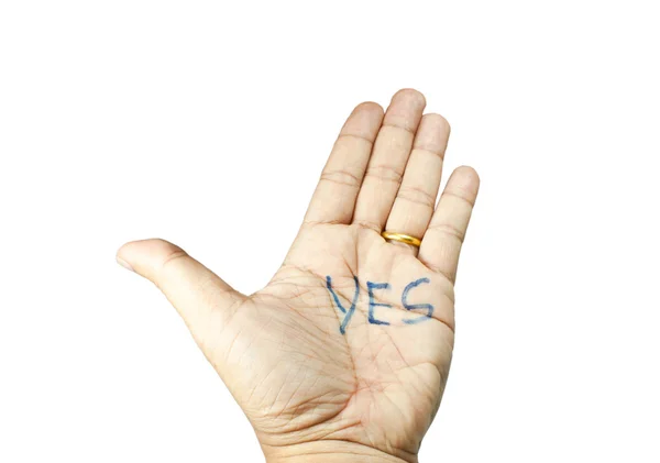 Yes, on the palm. — Stock Photo, Image
