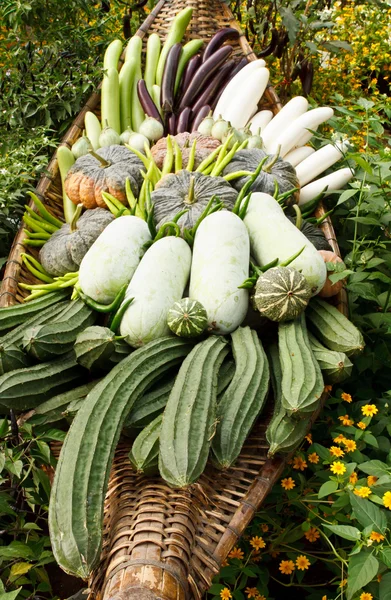 Grupa tropikalny warzywa — Zdjęcie stockowe