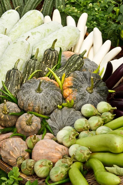 Skupina tropických zeleniny — Stock fotografie