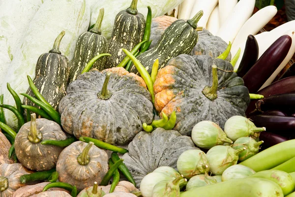 stock image Group of tropical vegetables