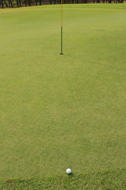 Yeşil çimlerin üzerinde golf topu