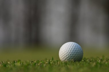 Yeşil çimlerin üzerinde golf topu