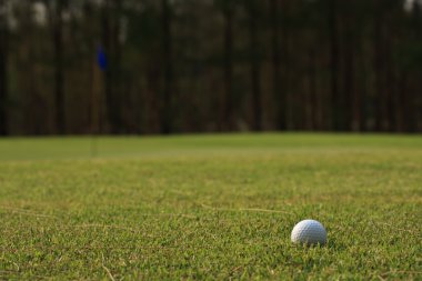 Yeşil çimlerin üzerinde golf topu
