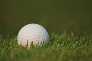 Yeşil çimlerin üzerinde golf topu