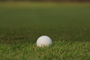 Yeşil çimlerin üzerinde golf topu