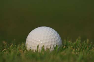 Yeşil çimlerin üzerinde golf topu