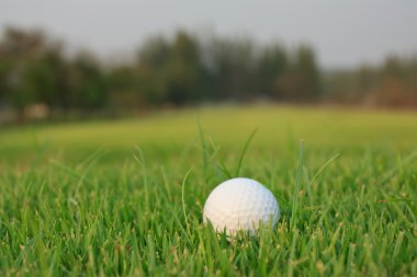 Yeşil çimlerin üzerinde golf topu