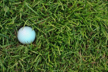 Yeşil çimlerin üzerinde golf topu