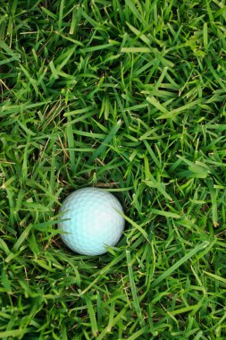 Yeşil çimlerin üzerinde golf topu