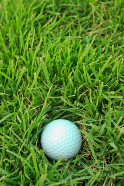 Yeşil çimlerin üzerinde golf topu