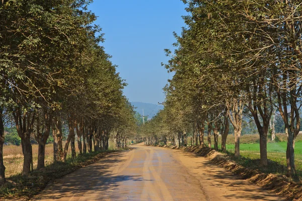 Дорога в деревне — стоковое фото