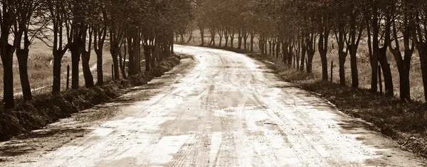 农村的道路 — 图库照片