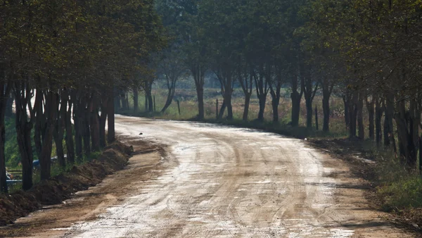 시골의 도로 — 스톡 사진