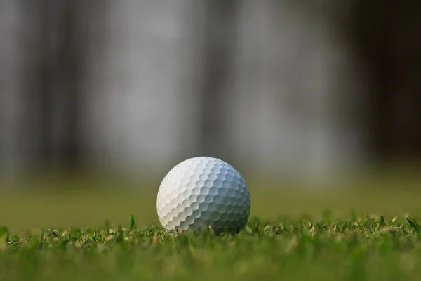 Pallina da golf su erba verde — Foto Stock
