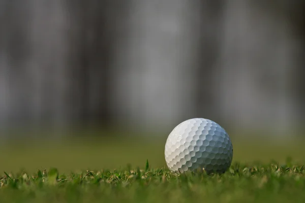 Pelota de golf sobre hierba verde — Foto de Stock