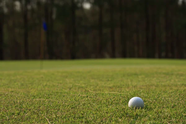 Golf pallo vihreä ruoho — kuvapankkivalokuva