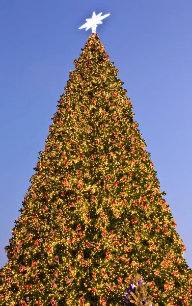 stock image Christmas tree at twilight