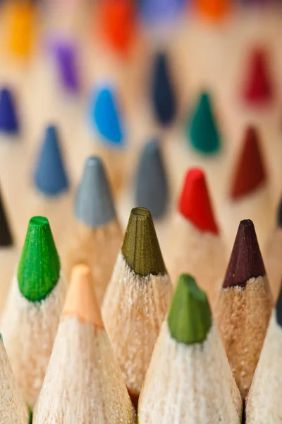 Макрознімок кольорових олівців — стокове фото