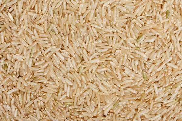 Thai rice grain — Stock Photo, Image