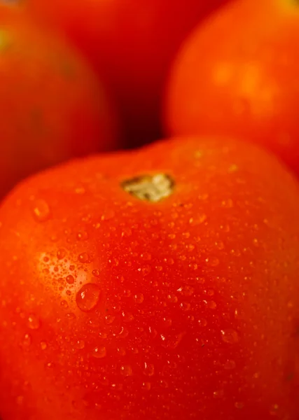 在西红柿上的水滴 — 图库照片