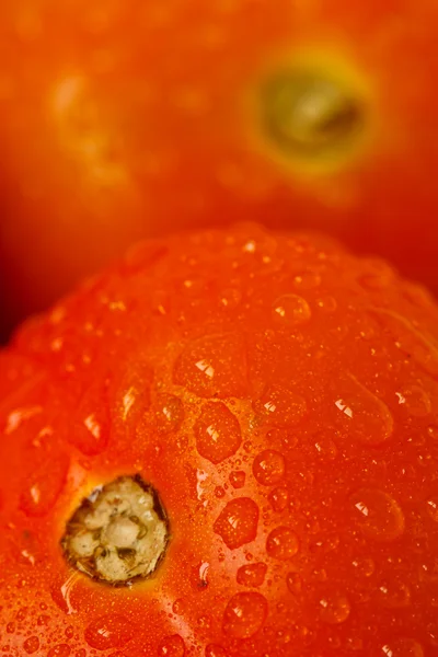 在西红柿上的水滴 — 图库照片