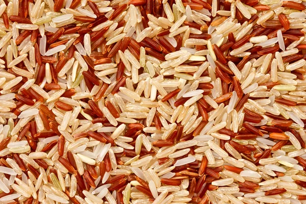 मिश्रित चावल अनाज — स्टॉक फ़ोटो, इमेज