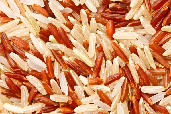 Mixed rice grain — Stock Photo, Image